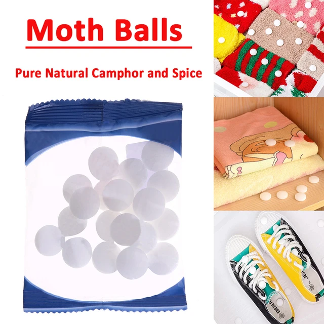 Share more than 149 anti moth bags super hot 3tdesign.edu.vn
