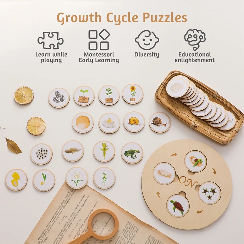 New Animal Life Cycle Board Montessori Teaching Aids Children Toys Plant Animal Growth Cycle Model Set Preschool Cognitive Toys 2