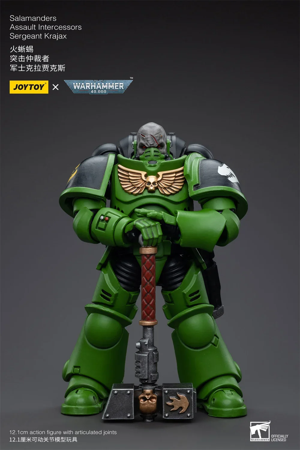 o219 キングダム・オブ・ブレトニア JOYTOY JT5215+5222+5239+5246 1/18 Warhammer 40K Salamanders
