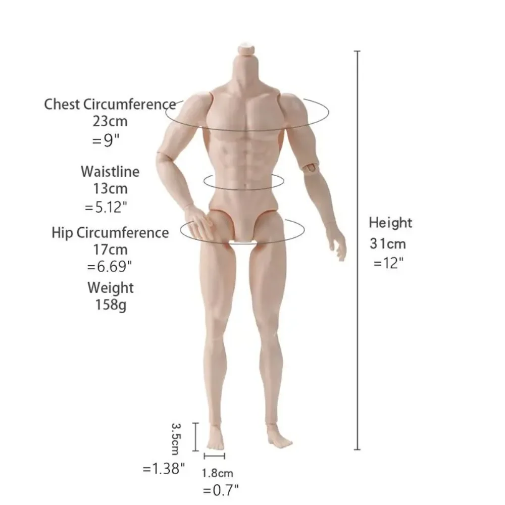31cm Height 1/6 MJD Boy Body White Normal Tan Skin Male Body 1/6 Action Figure Body Strong Man Doll's Accessories