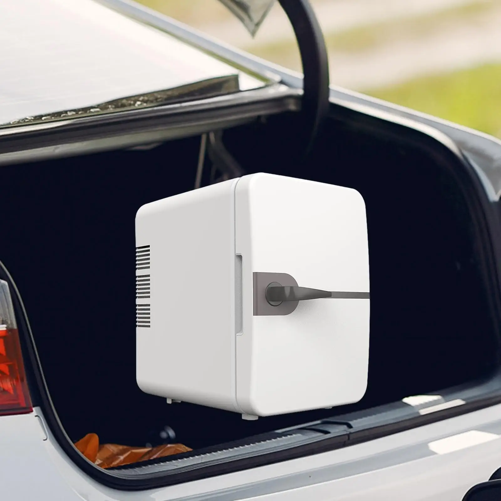 Mini Fridge Portable Refrigerator 110V DC12V 30W with Handle Cooler and Warmer 4 Liters for Rvs Car Truck Cosmetics Beverage