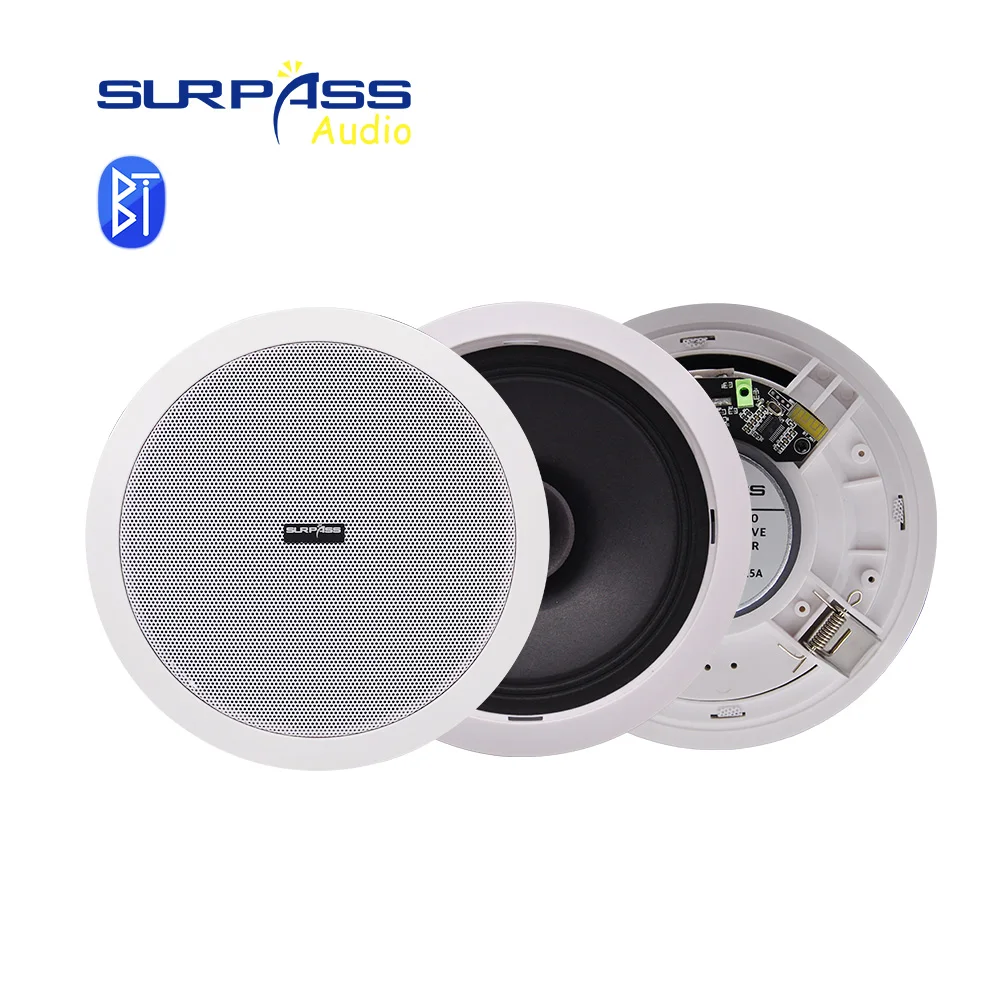 US $33.82 - 51.91 Built-in Class-D Amplifier Full Range Bluetooth-compatible Ceiling Speaker Horn For Home Theater Background Music Good Quality