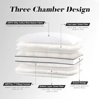 Feather Down Pillows Queen Size Set of 2, Luxury Hotel Collection Bed Pillow 2 Pack, Down Surrounded Gusseted Pillows 20x30 2
