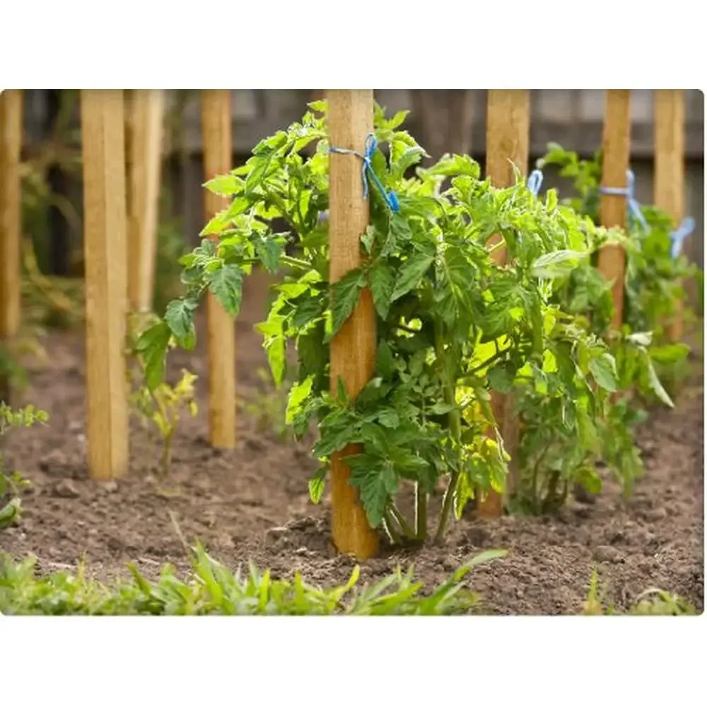 Wooden Garden Plant Stakes 42" Sign Post Supports 100-Pack Pointed End Easy Installation Versatile All Plants Durable Wood