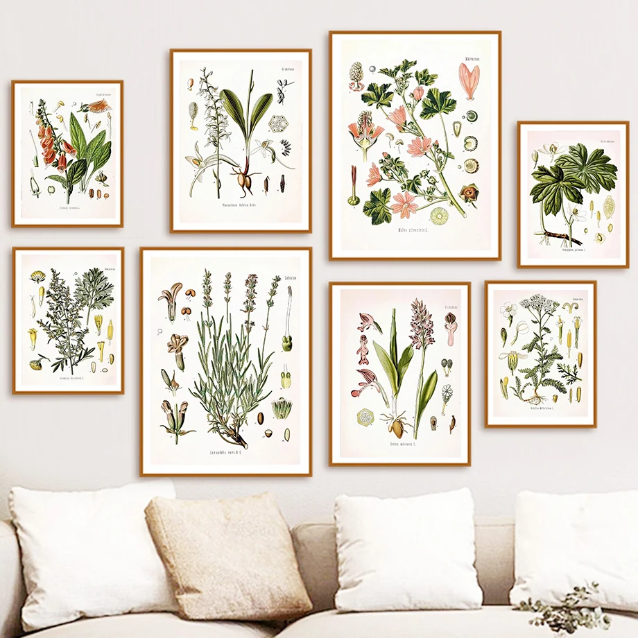 

Vintage Plant Flower Leaf Fruit Root Study Wall Art Canvas Painting Nordic Poster And Prints Wall Pictures For Living Room Decor