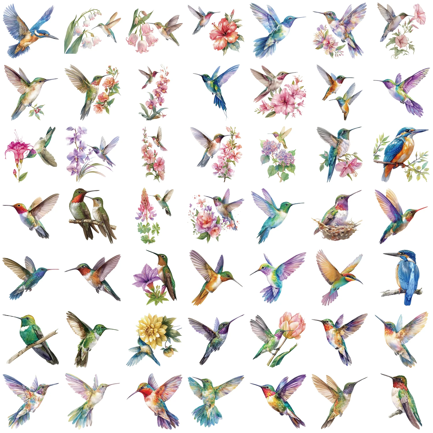 50pcs Cute Hummingbird PET Stickers Waterproof Durable Decal For Decorating Motorcycle Laptop Water Bottle Mobile Phone Computer