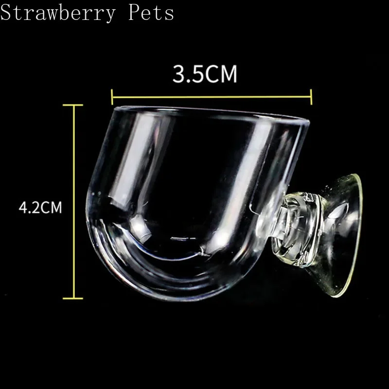 Glas Cup Topf Mit 2 X SaugnäPfe FüR Aquarium Pflanzschale Glas