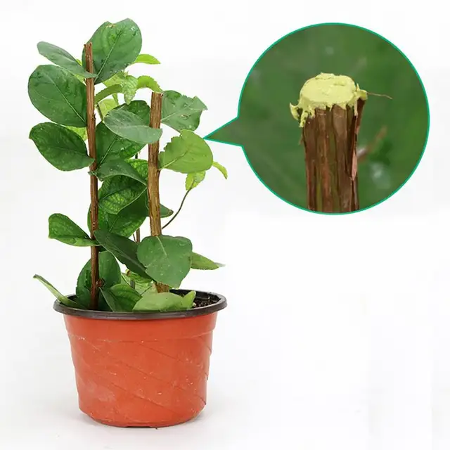 Fa Metszés Gyógyító Paszta Bonsai Vágott Sebes Kötés Sebvágás Metsző Vágó Otthoni Kerti Pályához - Image 4