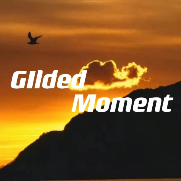 Gilded Moment Store