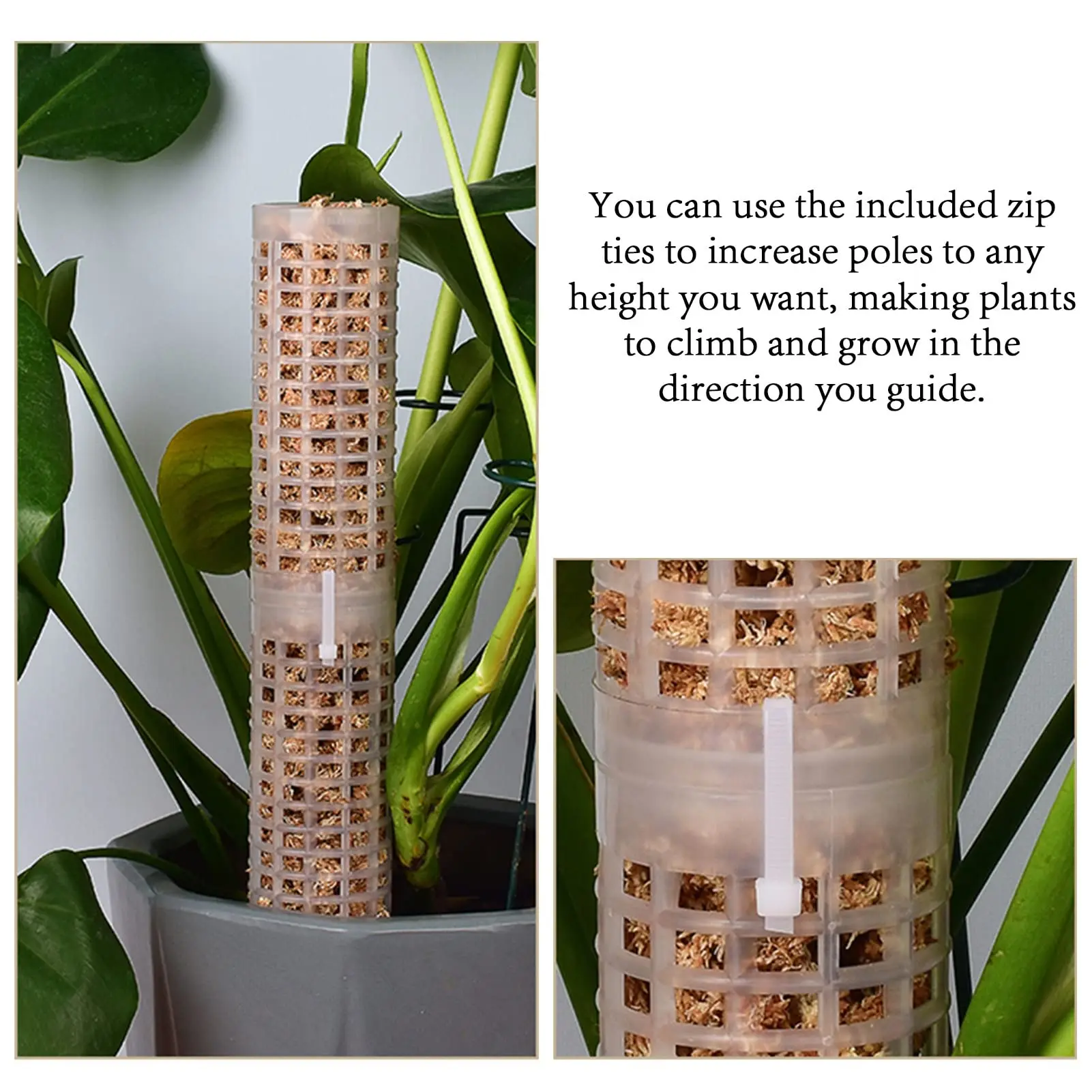 Plastic Plant Climbing Column Plant Pole Sphagnum Support Trelli Frame Water Moss Column Pole Potted Flower Vines Climbing plant climbing support