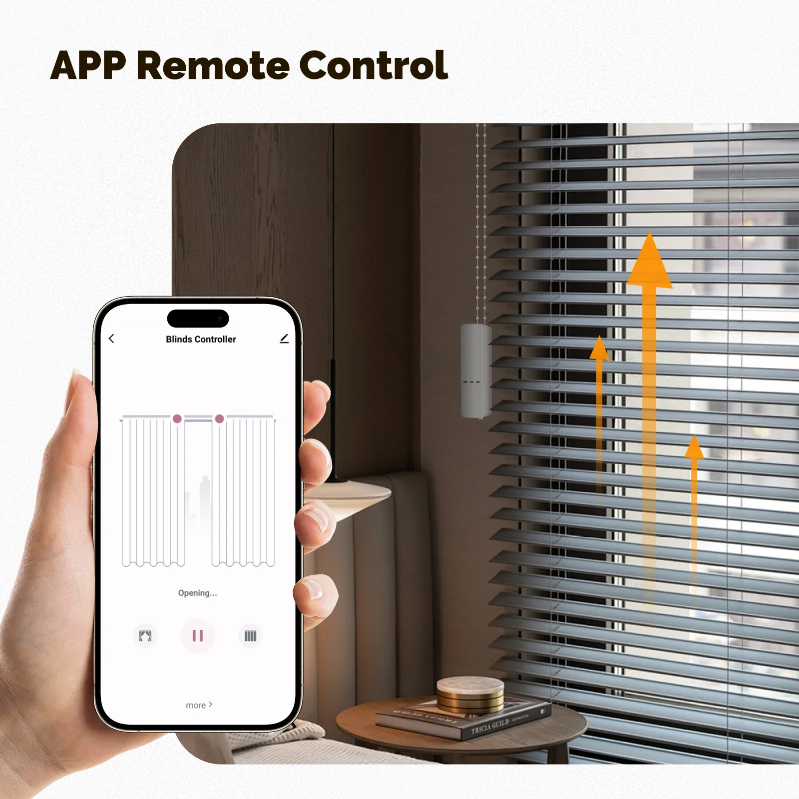 MOES Tuya Zigbee 스마트 체인 롤러 블라인드 그늘 셔터 드라이브 전기 커튼 모터 App 제어는 Alexa Google 홈과 함께 작동합니다.
