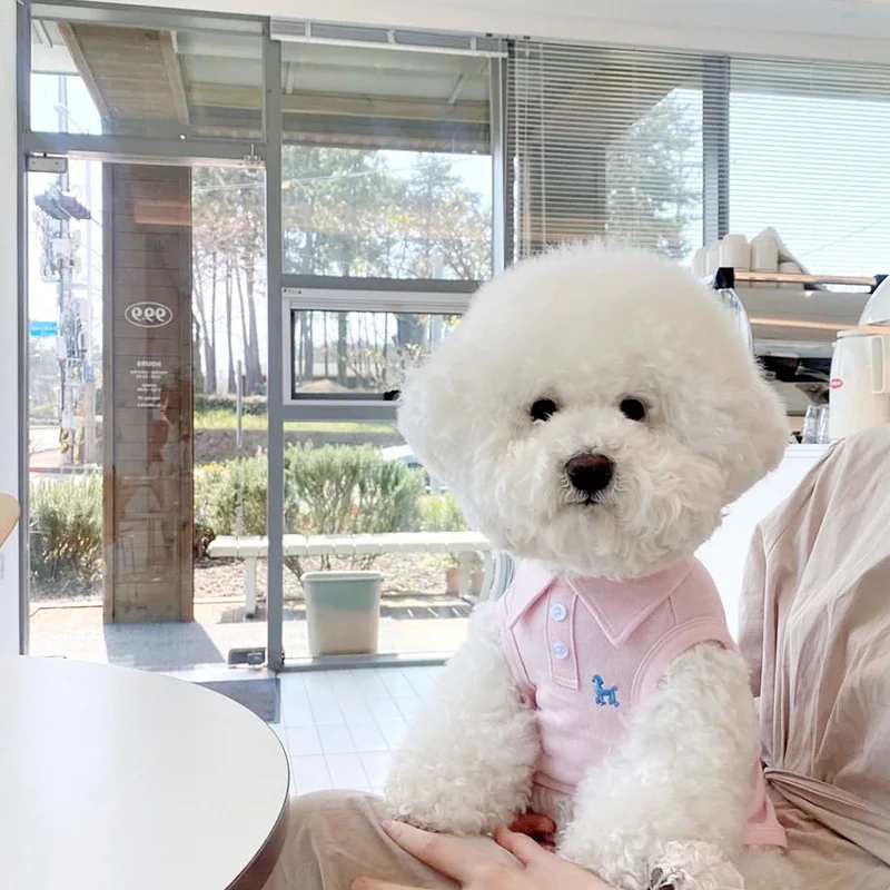 2026 New All-Match Solid Pet Tee, Comfortable Breathable Summer Clothes for Pets