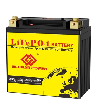 Batteria al litio per moto 14L-BS 12v 9Ah con caricabatterie Batteria LiFePO4, Cicli profondi CCA 520A per tosaerba moto ATV UTV