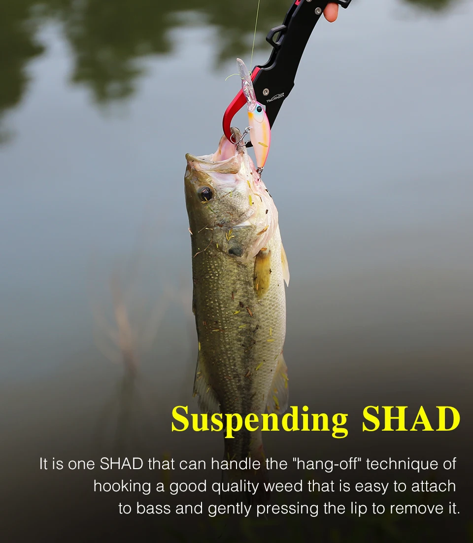 TSURINOYA Dive 2-4m Suspending Minnow 57mm 8,3g EXPLORERS 57SP Long Casting Pike Bass Angelköder Künstlicher harter Köder Jerkbait – Detail 20