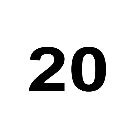 20PCS