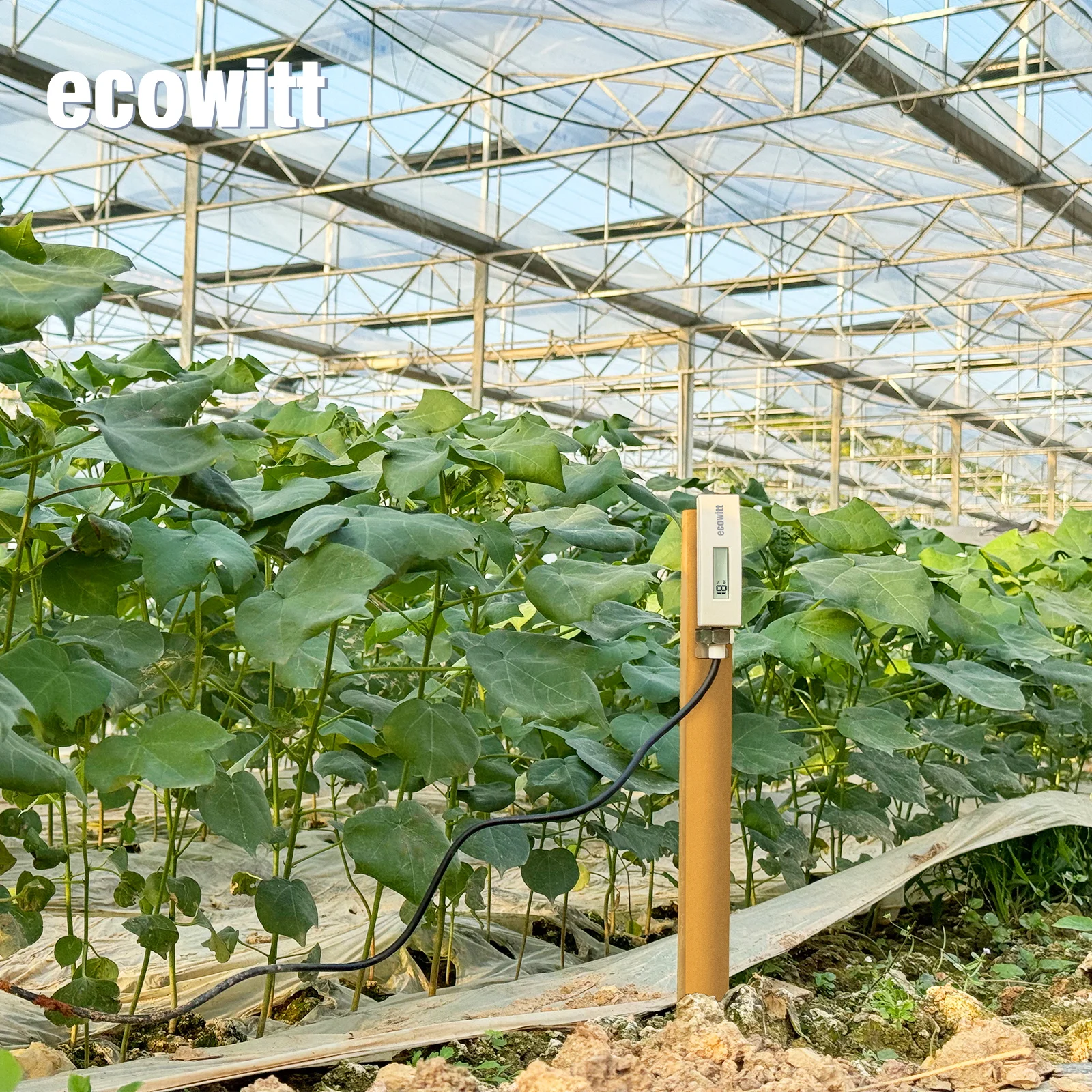 Ecowitt WH51L Long Probe for Deep Use Soil Moisture Meter Soil Moisture Sensor Plant Monitor Tester For Garden Agriculture