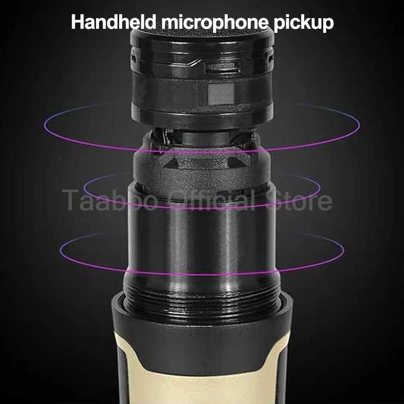 Professional Wireless Microphone System 2 Channel LCD Display Handheld Micphone Radio System Studio Mic for Karaoke Party Church