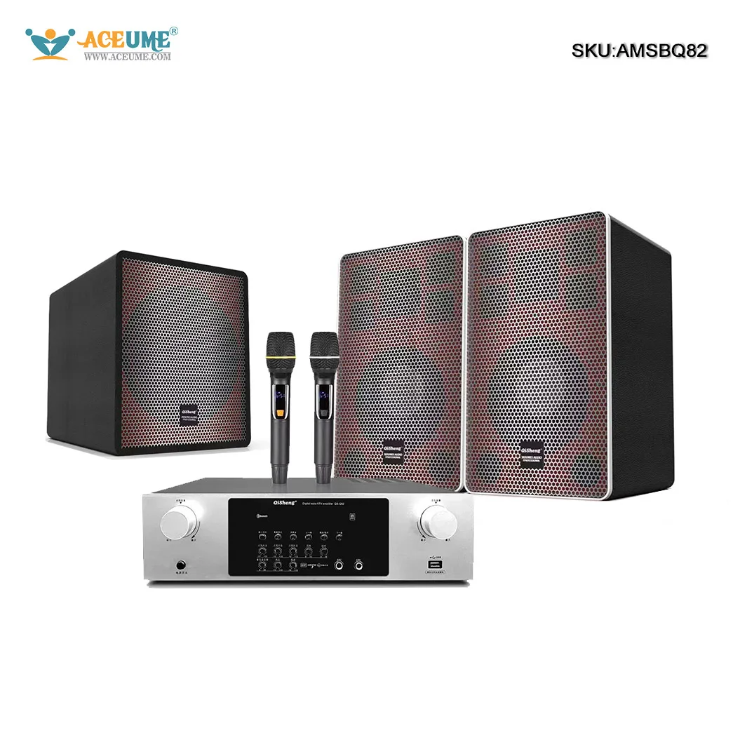 Professional speaker amplifier subwoofer home set