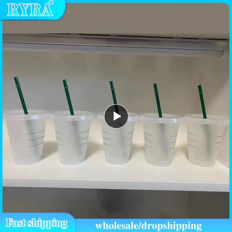 5pcs Wholesale Straw Cups Plastic Tumbler With Lid Straw Reusable Cups Summer Drinks Bottle Drinkware Mugs Coffee Milk Tea Cups