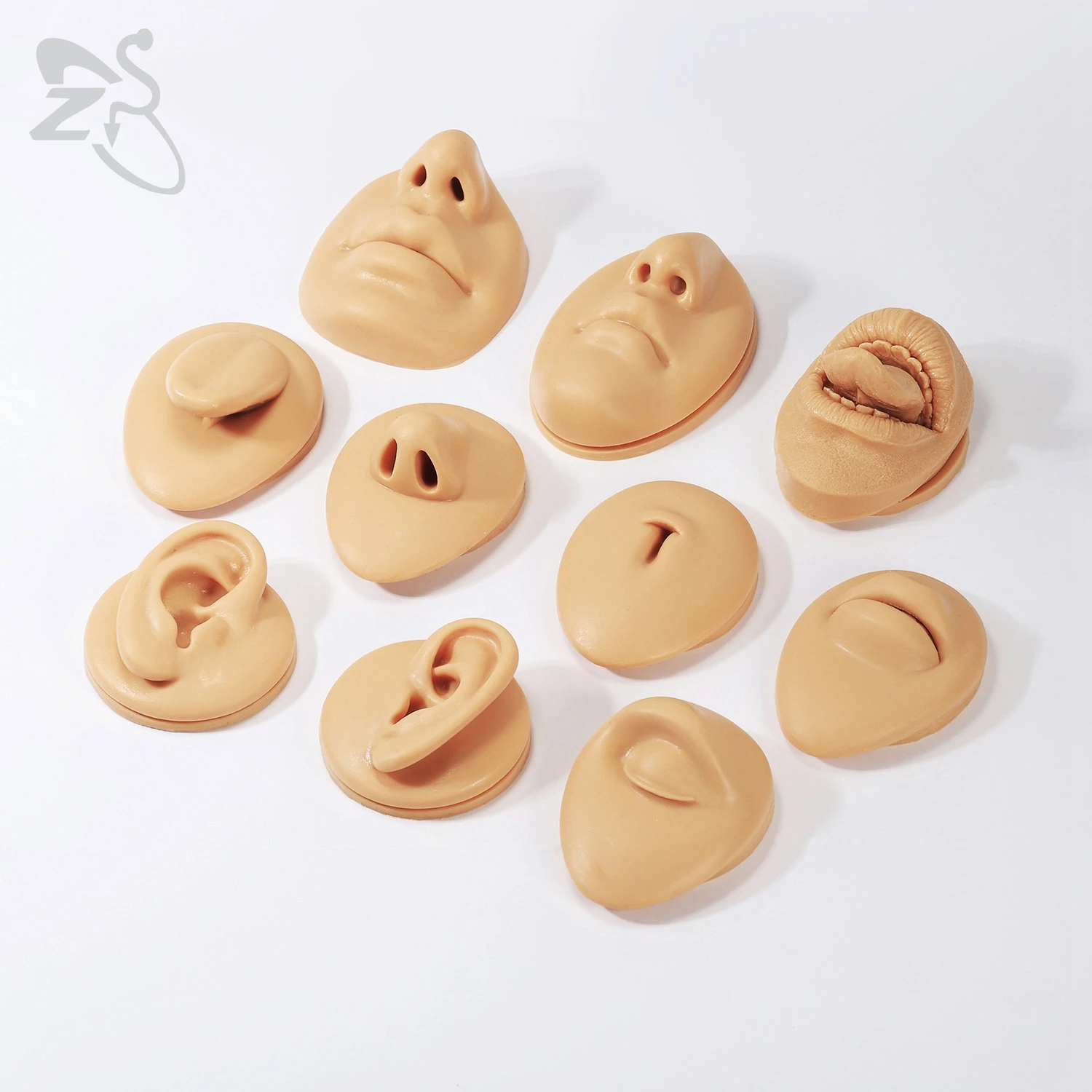 ZS 1 PC Silicone Body Model Ear Nose Model Men Professional Practice Piercing Tools Silica Gel Body Parts Jewelry Display Stand