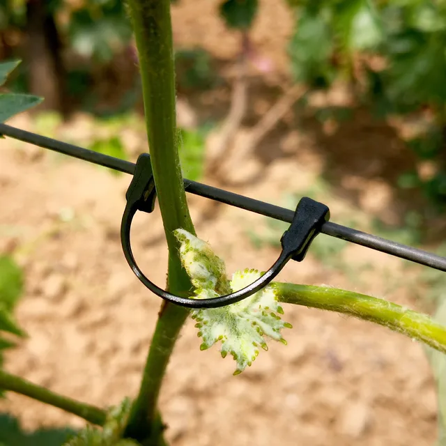 2000 Darab Mezőgazdasági Növény Rattan Rögzítő Horog Kerti Kötő Csat Virágkertészeti Szerszám Sorozat - Image 5