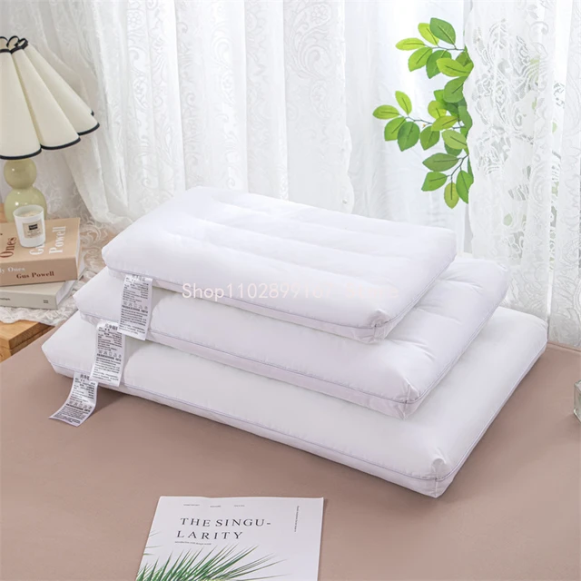 Euro Square Bed Pillows Goose Feather Filler Neck Protection Slow Rebound  Pillow 100% Cotton Shell Anti Mite - AliExpress