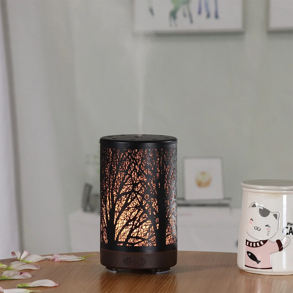 

Gift Wax Melt Warmer With Multifunctional Abilities Widely Aromatherapy Essential Oil Easy To