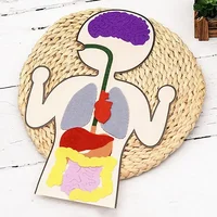 Montessori Body Parts Set Felt Board Stories Teaching Book for Toddlers Sensory Toy Preschool Teaching Story Travel Board 1