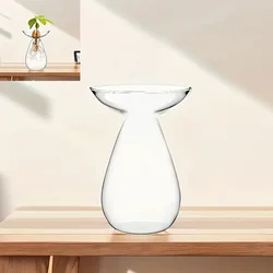 Vibrant Glass Avocado Vase - Transparent Hydroponic Seed Sprouting Planter & Contemporary Home Accent (Clear)
