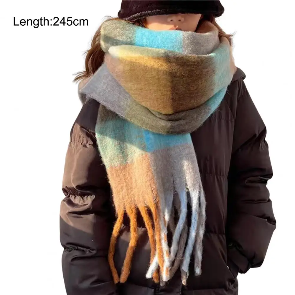 Women Rainbow Winter Plaid Cashmere Scarf Shawl Wrap Chequered Scarves Necks Warm Long Tassel Thicker bufanda invierno mujer 5