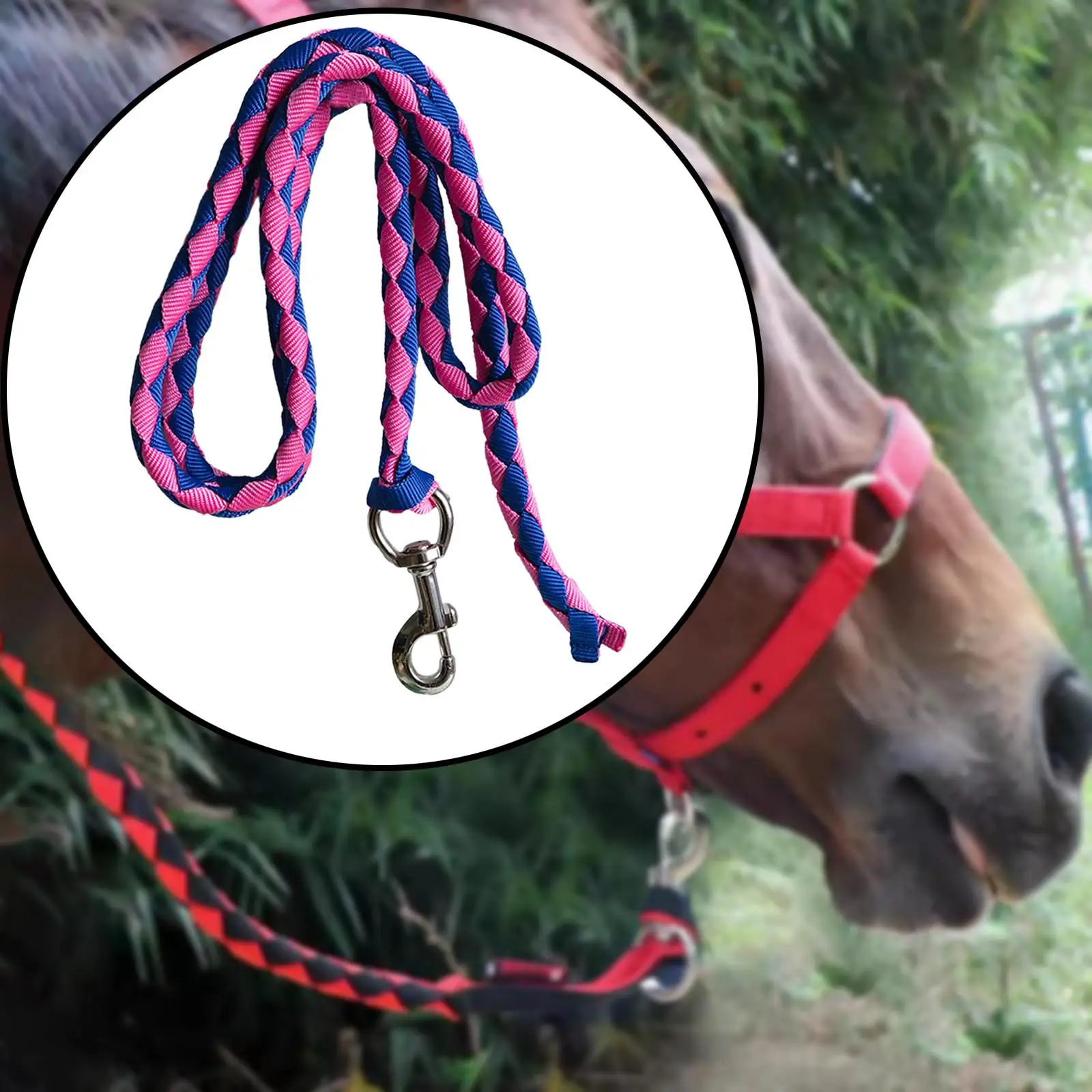 Horse leash, durable swivel buckle, horse leash, rope cord with