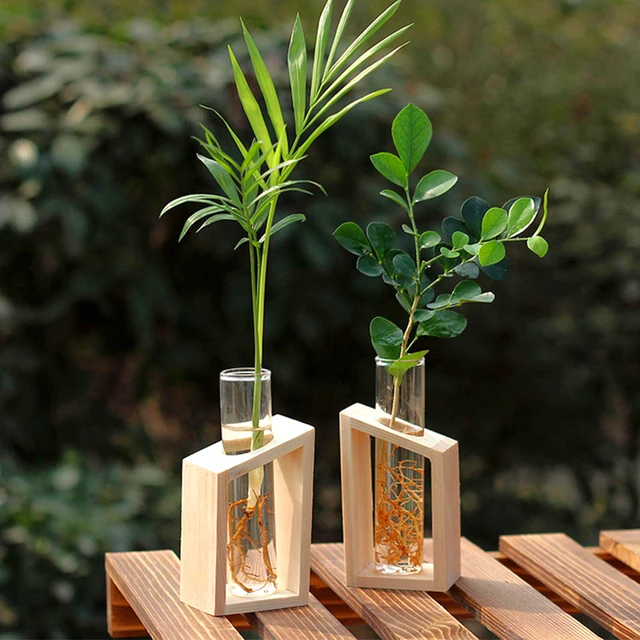 Contenitore per piante idroponiche con struttura in legno Provetta in vetro trasparente Vaso da fiori Decorazioni per bonsai da tavolo per la casa Artigianato 4