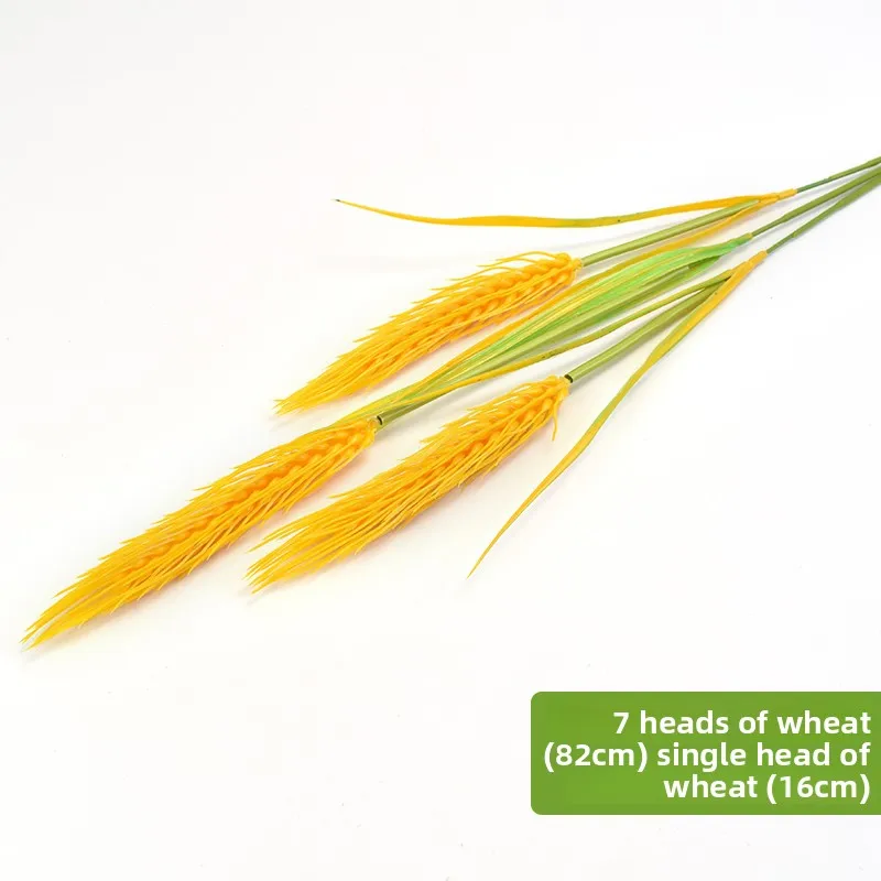 3 extra long wheat ears
