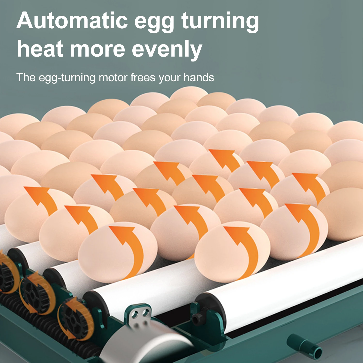 9/15/30/48 Eggs Incubator With Drawer Type Mini Egg Incubator With Automatic Water Ionic Replenishment,Temperature Contro 5