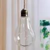 193B Light Bulb Shaped Gift Idea for Succulent Moss Tillandsias Air Plants Kitchen 2