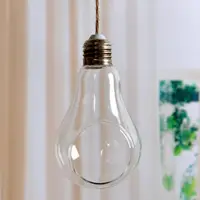 193B Light Bulb Shaped Gift Idea for Succulent Moss Tillandsias Air Plants Kitchen 2