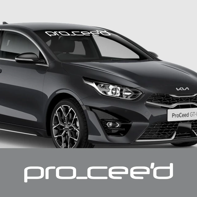 For KIA Pro Ceed 2019--2023 Spoiler ABS Plastic Hatchback Roof Rear Wing  Body Kit Accessories - AliExpress