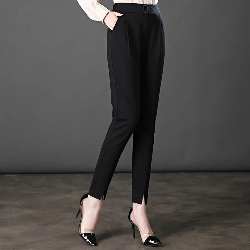 2024 New Spring and Autumn Simple Casual Loose Oversize Fashion High Waist Drop Straight Solid Color Elastic Haren Pants