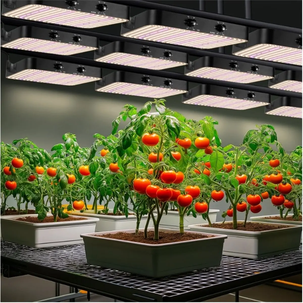 618 메가 세일 120W LED 식물등 이중 디밍 가능 VEG 블룸 듀얼 모드 LED 성장등 식물등 풀 스펙트럼 성장 조명 US 플러그