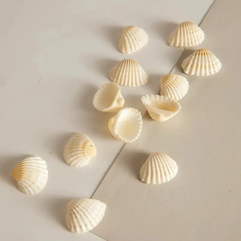 DIY 쥬얼리 만들기위한 20 Pcs 도색되지 않은 천연 쉘 참, 목걸이, 팔찌, 귀걸이 용 수지 공예 조개 공급