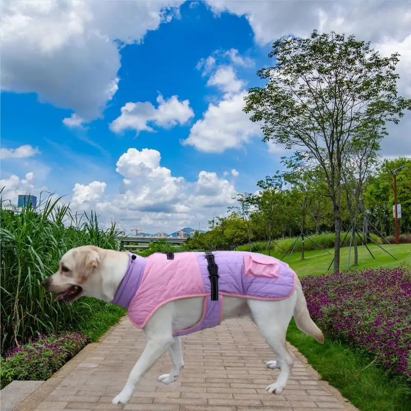 Puppy Winter Sweaters with Traction Holes for Dogs