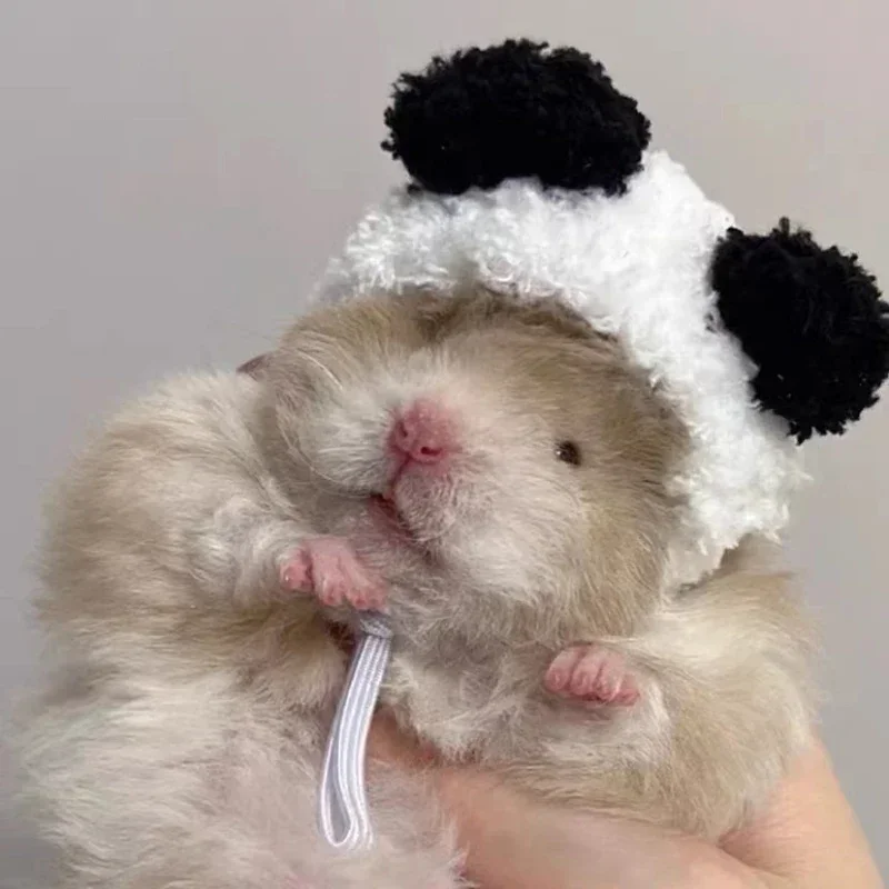 Pet Headgear Small Animal Clothes Hamster Golden Silk Bear Plush Cute Little Hat Photo Props Pure Hand Crocheted Pet Woolen Hat Winter Mini Pet Supplies