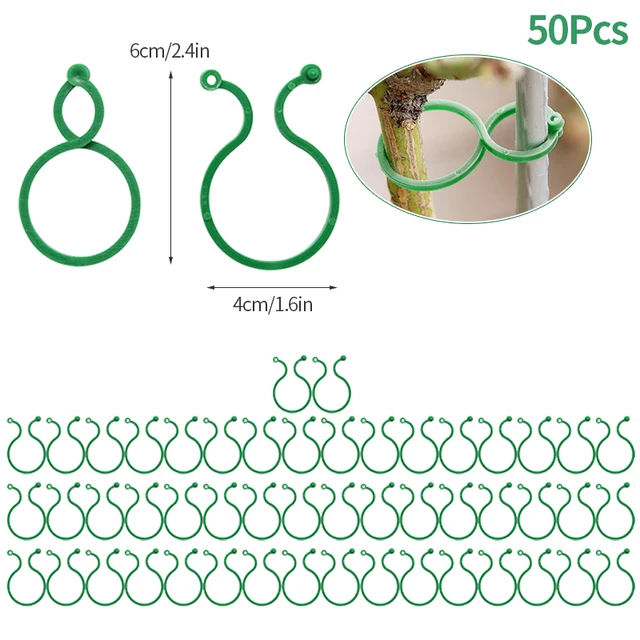 6cm-50pcs
