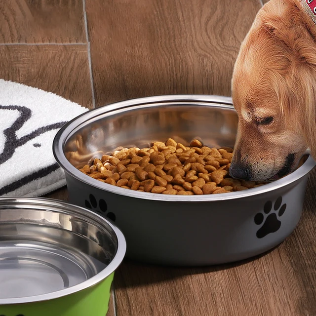 Dog Water Bowl with Non-Slip Rubber Base And Cats And Dogs Drinking Water Feeding Pet Bowl Stainless Steel Pet Feeders Pets Dogs 3