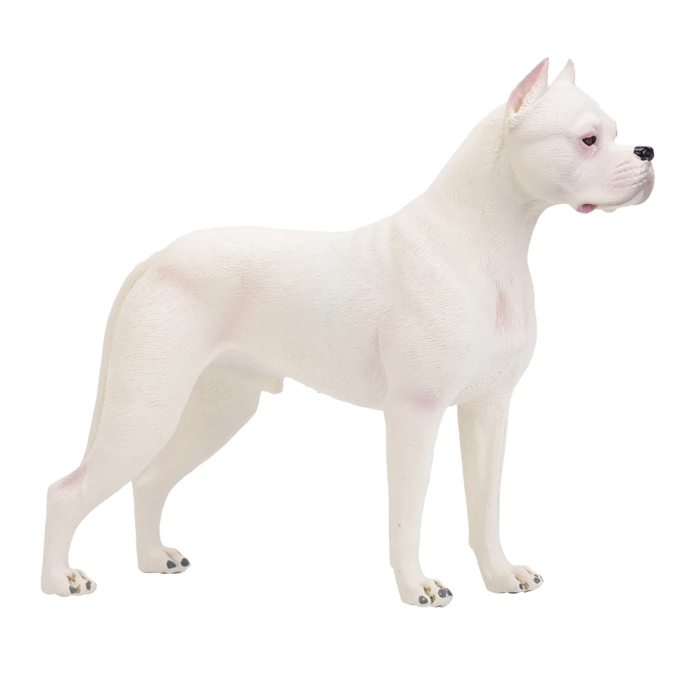 ū ǹ   ֿϰ  ƸƼ ۵  , ׼  峭 ǱԾ, Ŭ ÷ 峭,  