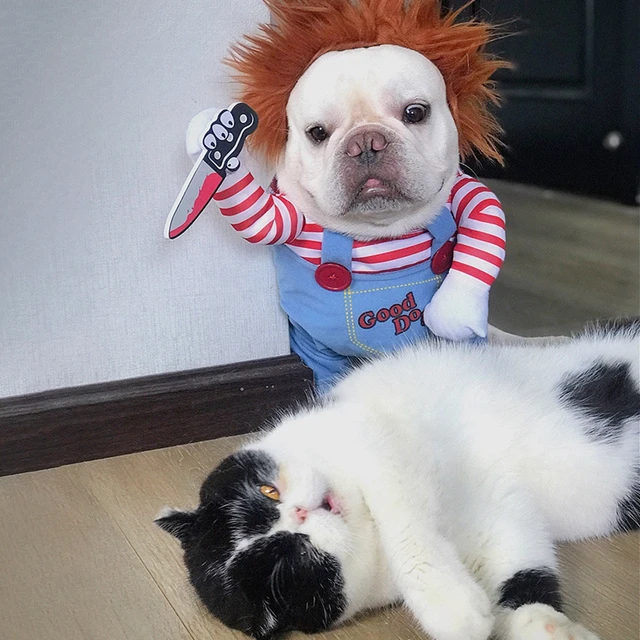 Costume d halloween pour chien et chat ensemble de Cosplay amusant nouveaut de no l tenues