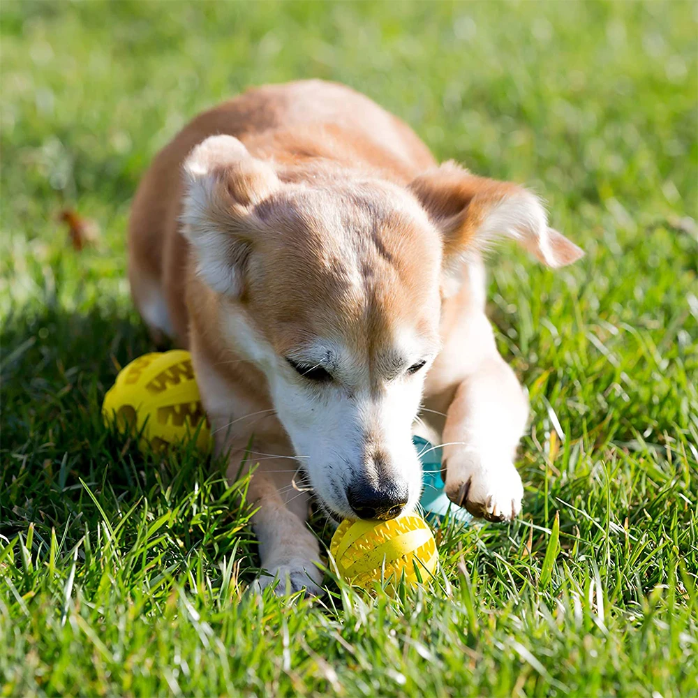 Dog Toys Rubber Ball Tooth Cleaning Snack Ball Toy For Puppies Large Dogs
