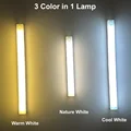 3 Color in 1 Lamp