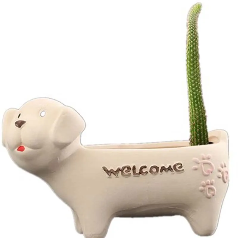 

Cute Mini Flowerpot Indoor Outdoor Succulent Flower Pot With Drainage Hole Desk Office Garden Decoration And Accessories