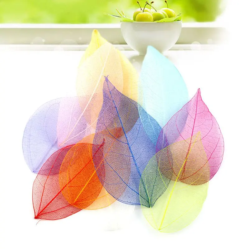 

Case Epoxy Dried Making 30PCS Natural Flowers DIY Handmade Embossing Material